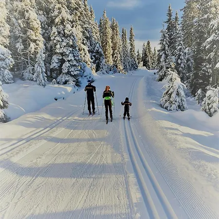 Cozy Ambiance And Trails At Skeikampen *
