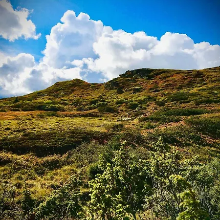 بيت للعطل Cozy Ambiance And Trails At Skeikampen