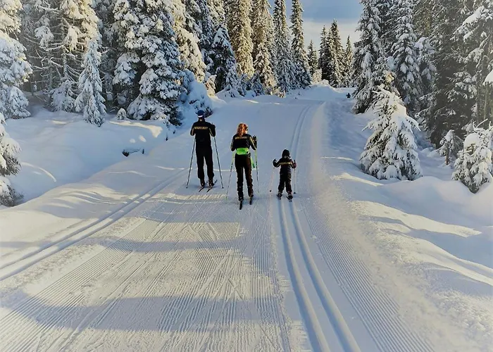 Cozy Ambiance And Trails At Skeikampen *